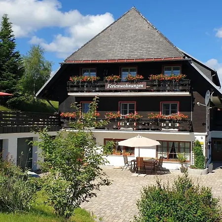 Hubertus - 5, Feldberg, Titisee, Schluchsee Apartment